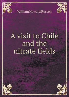 Book cover for A visit to Chile and the nitrate fields