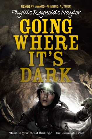 Cover of Going Where It's Dark