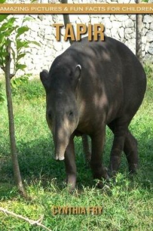 Cover of Tapir