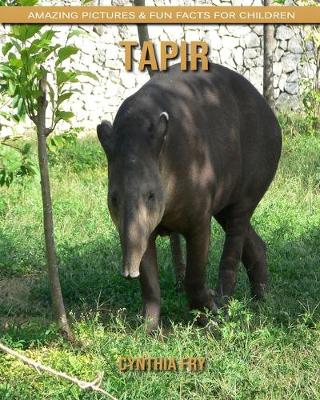 Book cover for Tapir