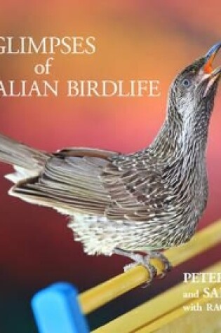 Cover of Glimpses of Australian Birdlife