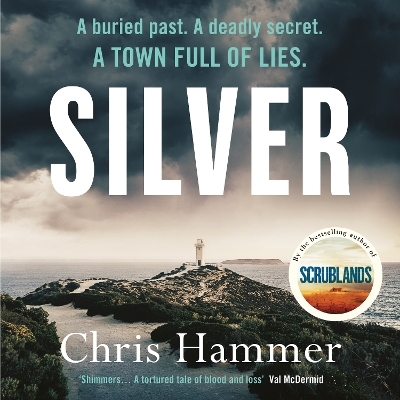 Book cover for Silver