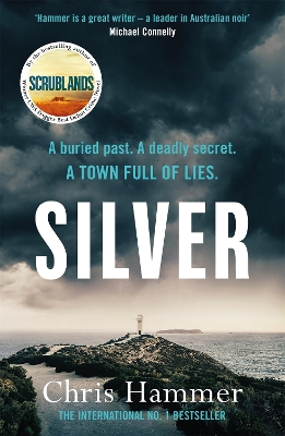 Book cover for Silver