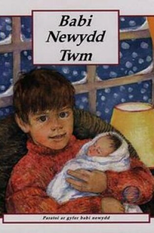 Cover of Babi Newydd Twm