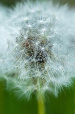 Cover of Dandelion Growing in Spring Journal