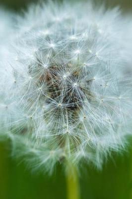 Book cover for Dandelion Growing in Spring Journal