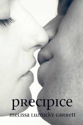 Book cover for Precipice