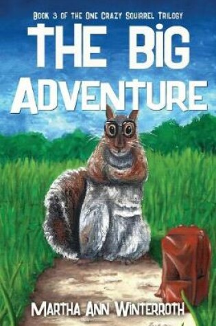 Cover of The Big Adventure