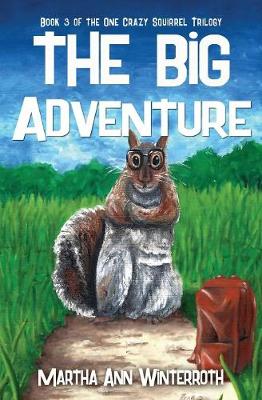 Book cover for The Big Adventure