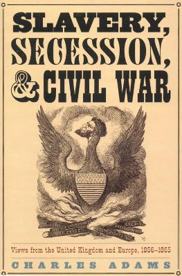 Book cover for Slavery, Secession, and Civil War