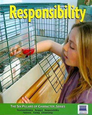 Book cover for Responsibility