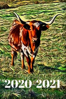 Book cover for Long Horn Steer Dated Calendar Planner 2 years To-Do Lists, Tasks, Notes Appointments