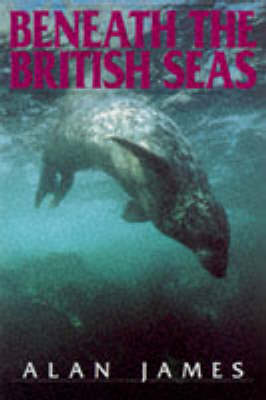Book cover for Beneath British Seas