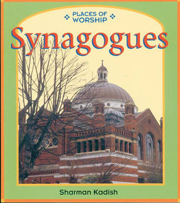 Book cover for Places of Worship: Synagogues   (Cased)