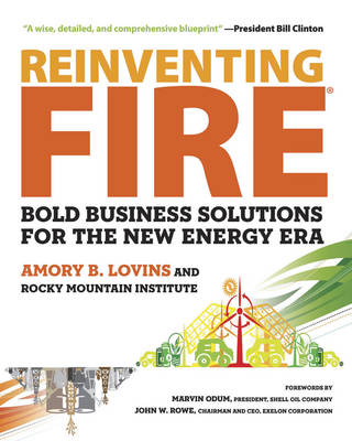 Book cover for Reinventing Fire