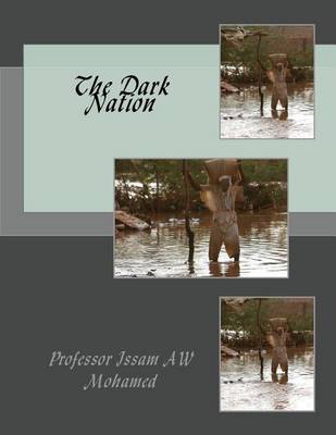 Book cover for The Dark Nation