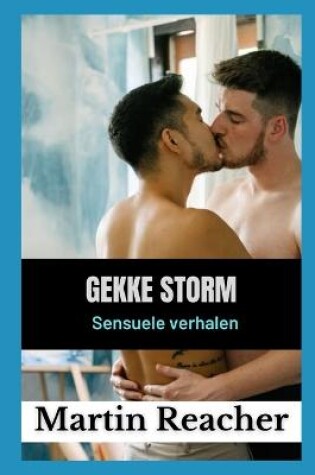 Cover of gekke storm