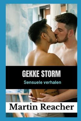Book cover for gekke storm