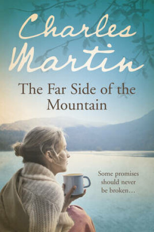 Cover of Mountain Between Us