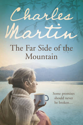 Book cover for Mountain Between Us