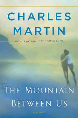 Book cover for The Mountain Between Us