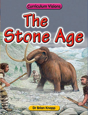 Book cover for The Stone Age