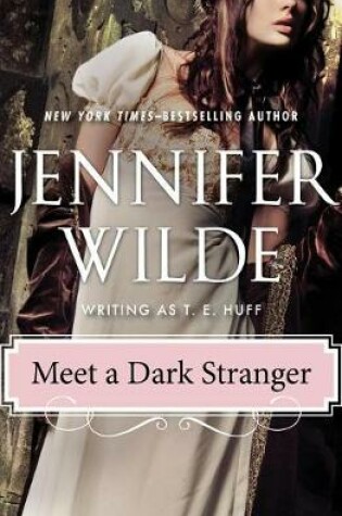 Cover of Meet a Dark Stranger