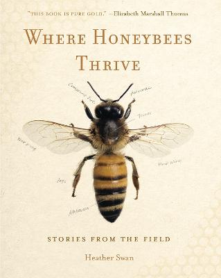 Cover of Where Honeybees Thrive