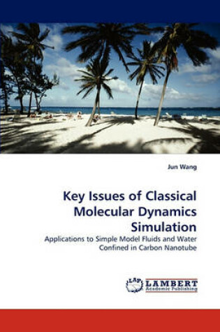 Cover of Key Issues of Classical Molecular Dynamics Simulation