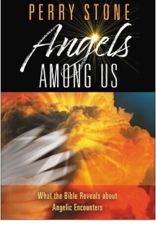 Cover of Angels Among Us