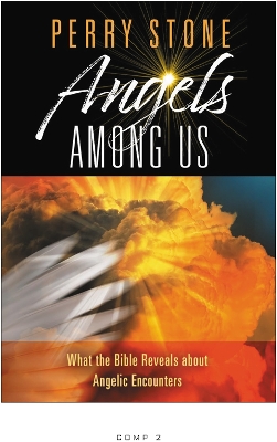 Book cover for Angels Among Us