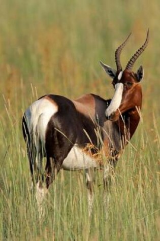 Cover of Bontebok Antelope Journal