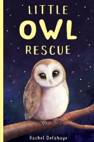 Cover of Little Owl Rescue