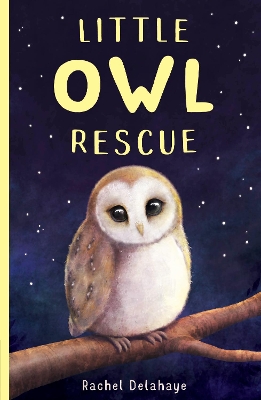 Book cover for Little Owl Rescue