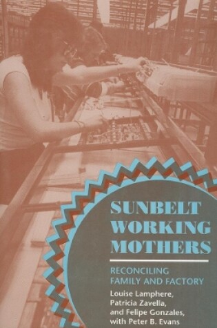 Cover of Sunbelt Working Mothers