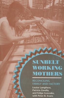 Book cover for Sunbelt Working Mothers