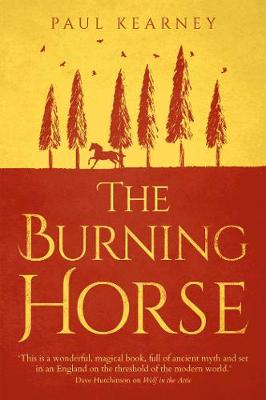 Book cover for The Burning Horse