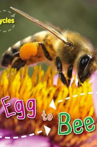 Cover of Egg to Bee