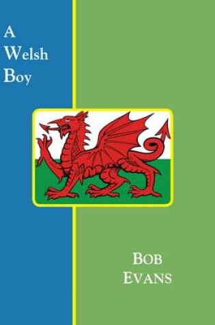Cover of A Welsh Boy
