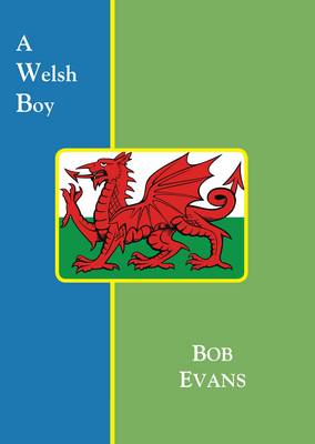 Book cover for A Welsh Boy