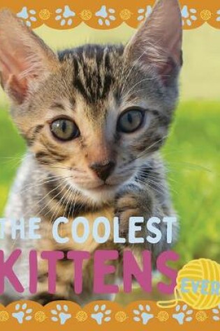 Cover of The Coolest Kittens