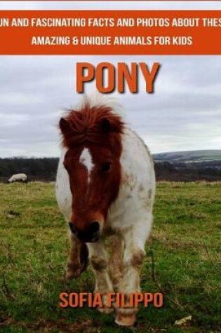 Cover of Pony