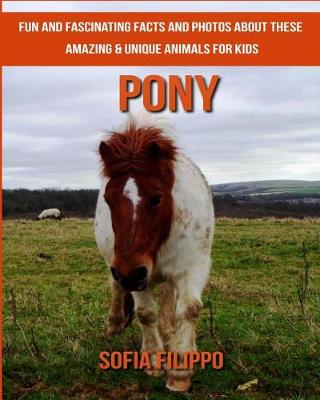 Book cover for Pony