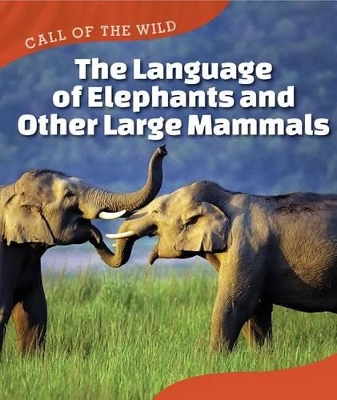 Book cover for The Language of Elephants and Other Large Mammals