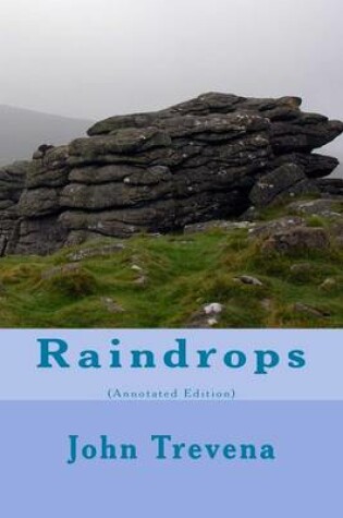 Cover of Raindrops