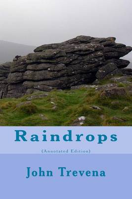 Book cover for Raindrops