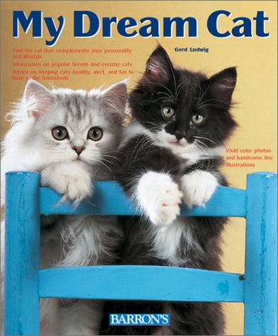 Book cover for My Dream Cat