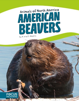 Book cover for American Beavers