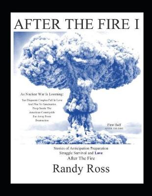 Book cover for After the Fire I