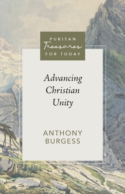 Book cover for Advancing Christian Unity